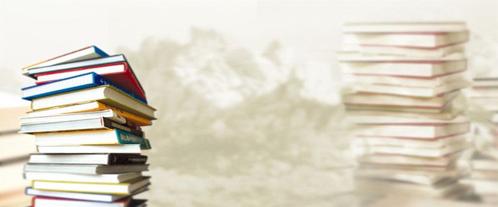 mlzs-banner